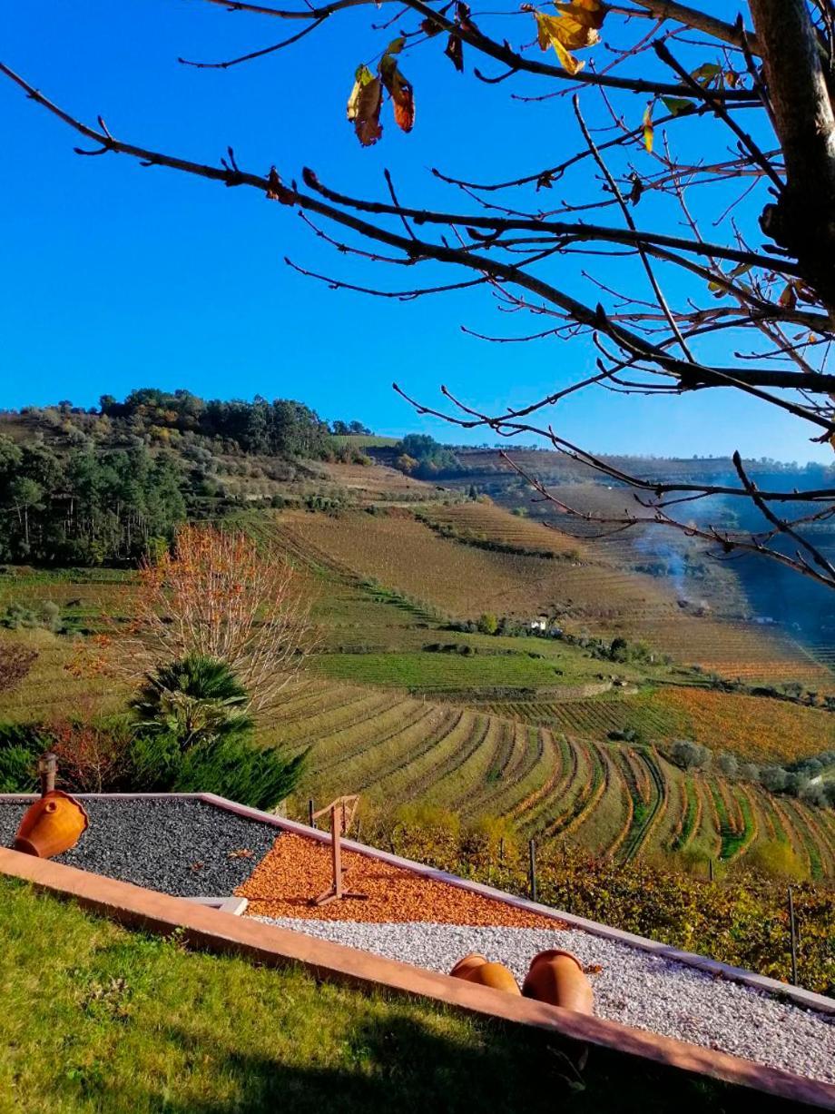 Villa Quinta De Baixo Vila Marim Esterno foto