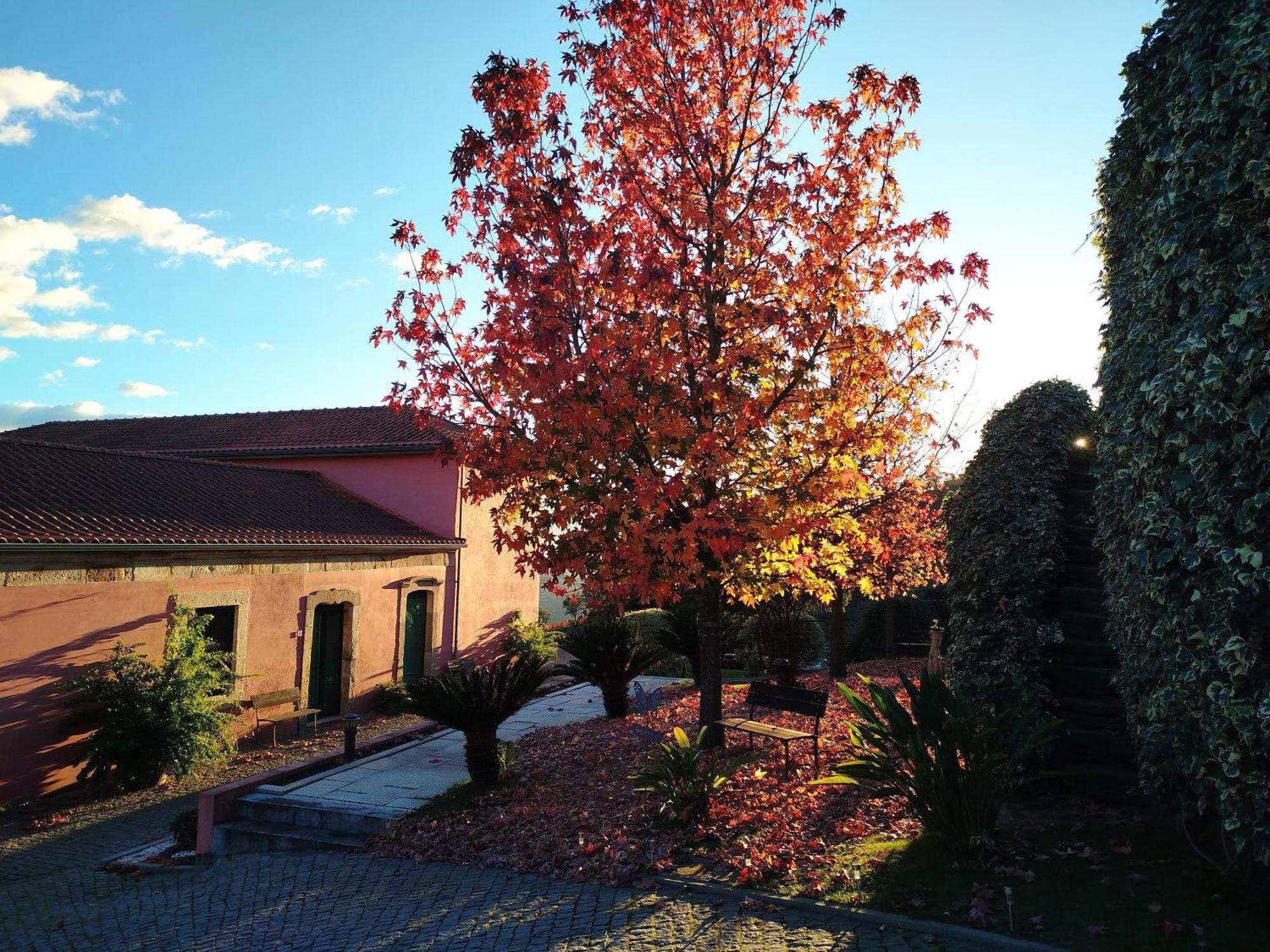 Villa Quinta De Baixo Vila Marim Esterno foto